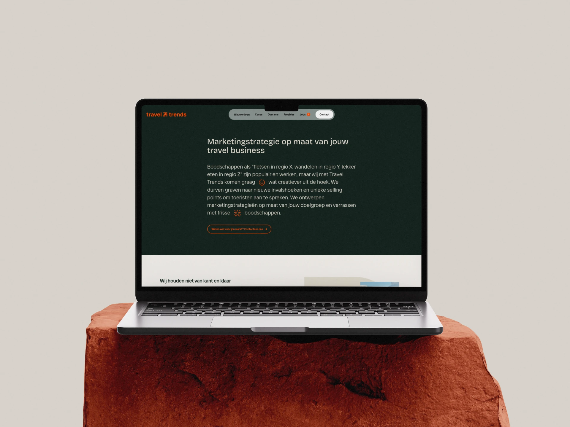 Website ontwikkeling case marketing travel trends